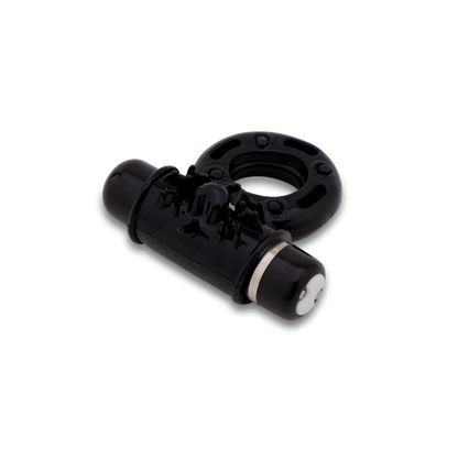 Compañero